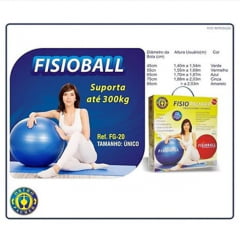 Bola Professional Fisioball - OrthoPauher